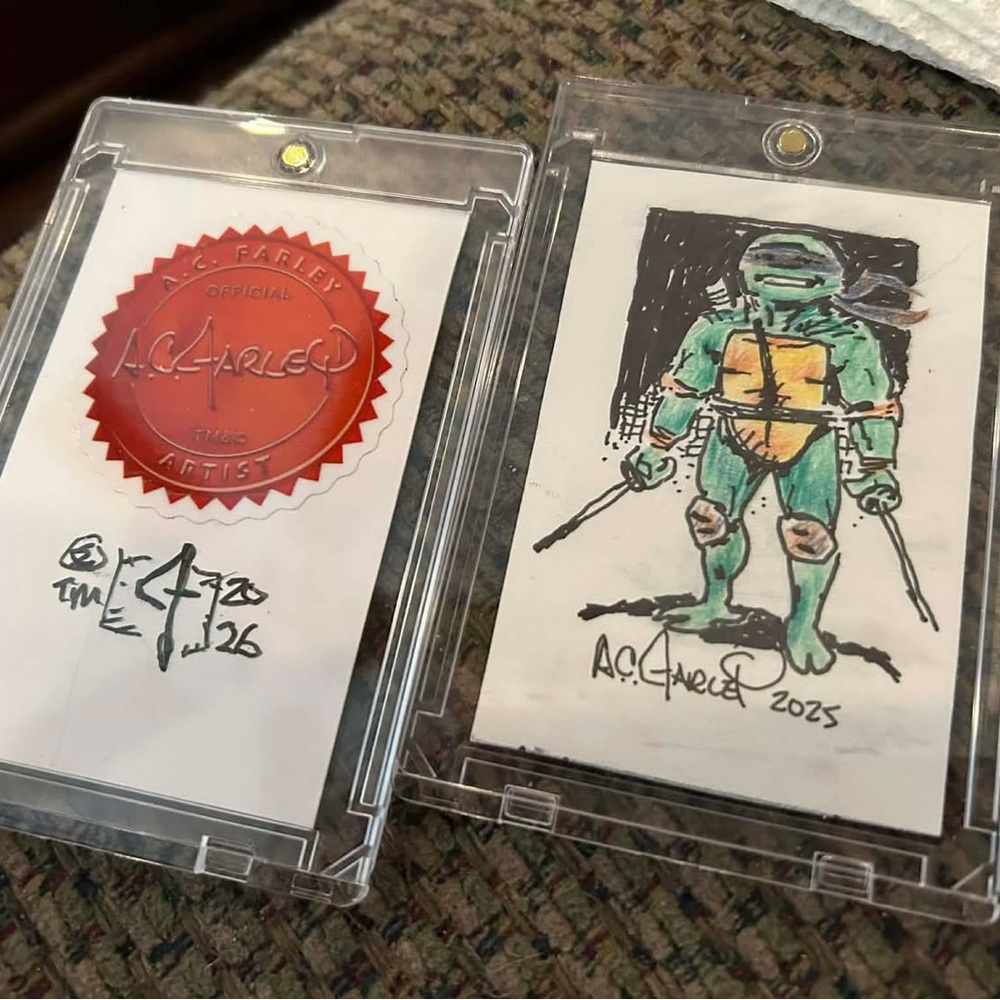 Original TMNT art from original TMNT artist AC Farley. Super rare!